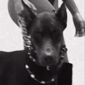 Meet your Posher, Ayo